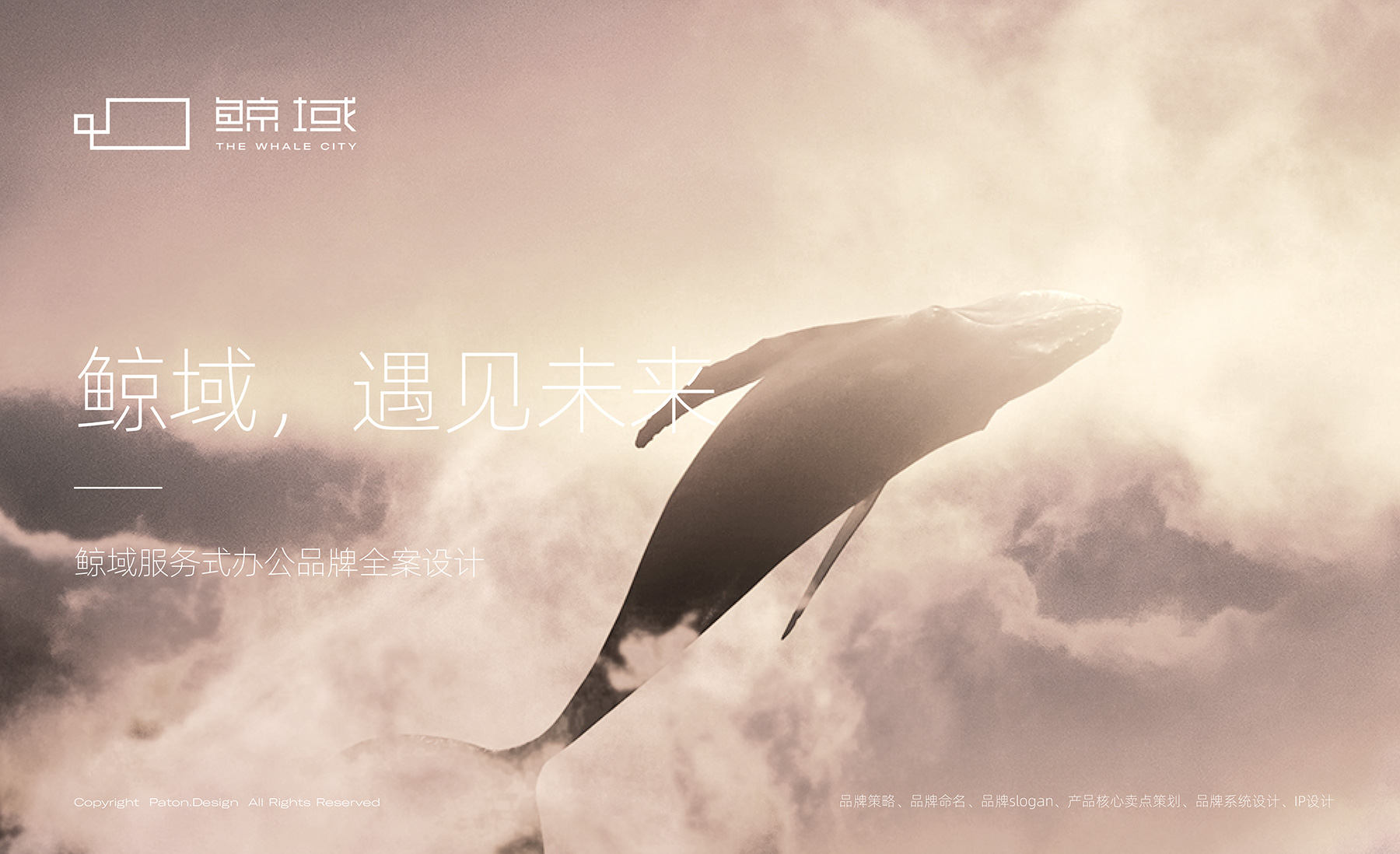 地產(chǎn)品牌全案設(shè)計(jì)